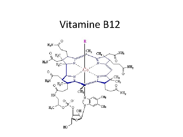 Vitamine B 12 