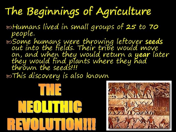 The Beginnings of Agriculture Humans lived in small groups of 25 to 70 people.