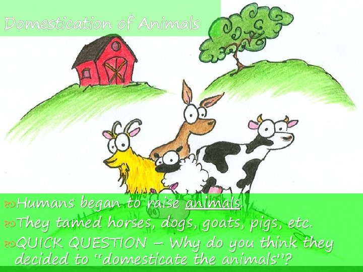 Domestication of Animals Humans began to raise animals. They tamed horses, dogs, goats, pigs,