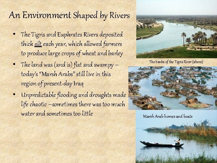 An Environment Shaped by Rivers • The Tigris and Euphrates Rivers deposited thick silt