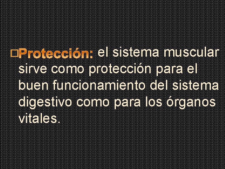 el sistema muscular sirve como protección para el buen funcionamiento del sistema digestivo como el sistema muscular sirve como protección para el buen funcionamiento del sistema digestivo como