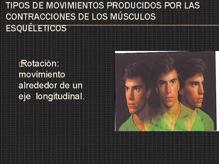 TIPOS DE MOVIMIENTOS PRODUCIDOS POR LAS CONTRACCIONES DE LOS MÚSCULOS ESQUÉLETICOS � Rotación: movimiento TIPOS DE MOVIMIENTOS PRODUCIDOS POR LAS CONTRACCIONES DE LOS MÚSCULOS ESQUÉLETICOS � Rotación: movimiento
