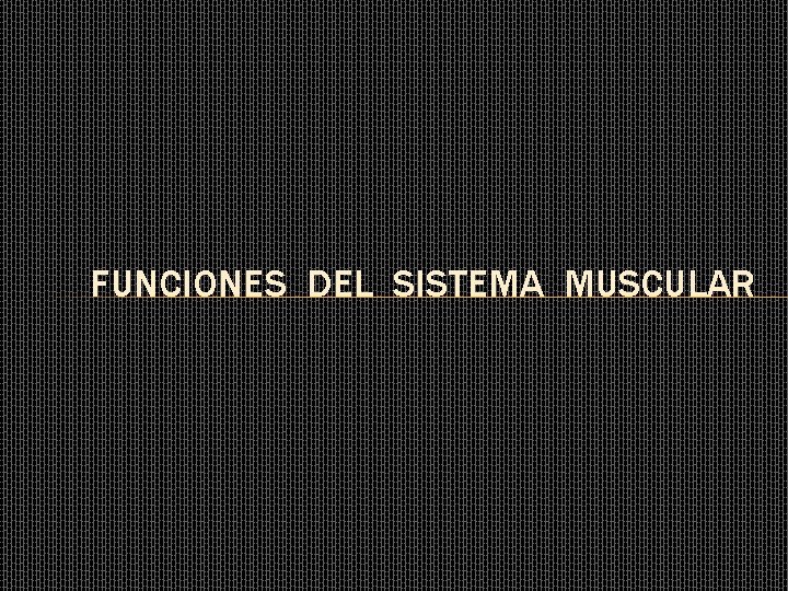 FUNCIONES DEL SISTEMA MUSCULAR FUNCIONES DEL SISTEMA MUSCULAR