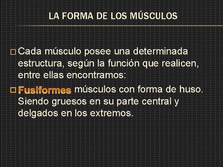 LA FORMA DE LOS MÚSCULOS � Cada músculo posee una determinada estructura, según la LA FORMA DE LOS MÚSCULOS � Cada músculo posee una determinada estructura, según la