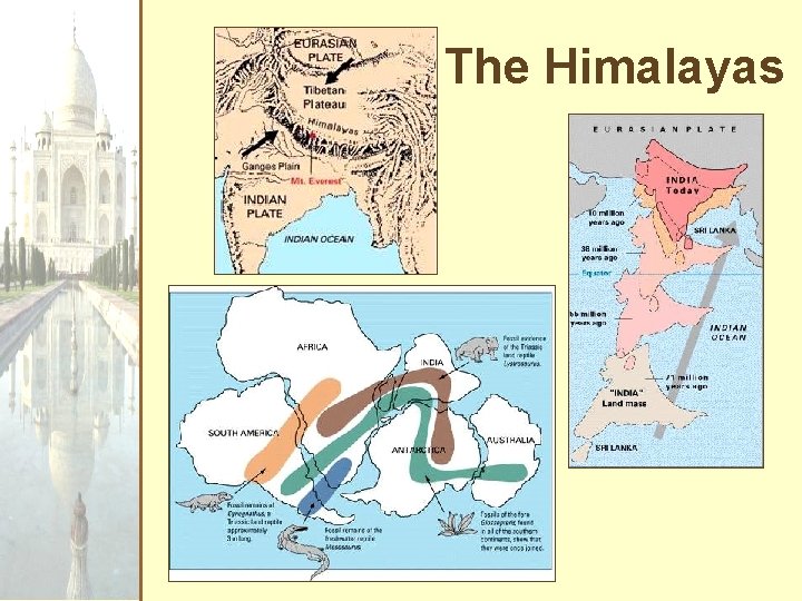 The Himalayas 