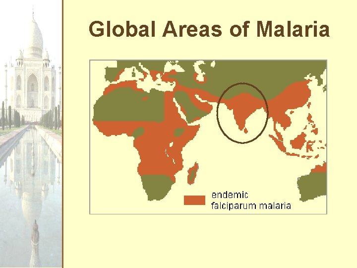 Global Areas of Malaria 