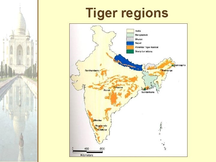 Tiger regions 