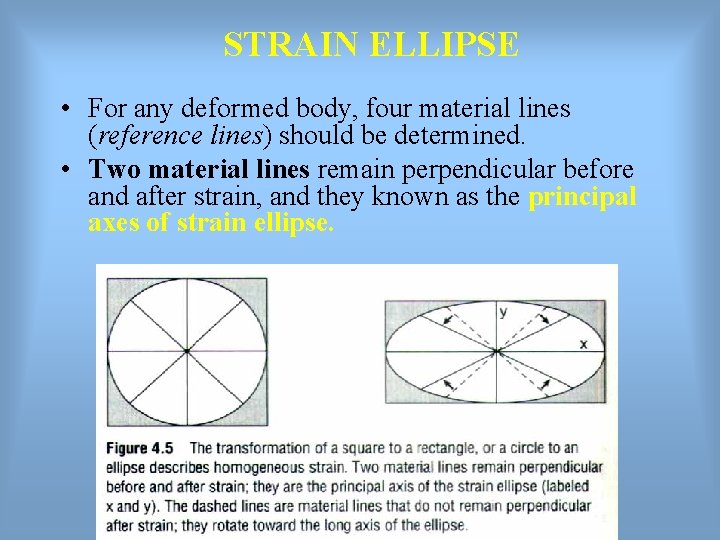 STRAIN ELLIPSE • For any deformed body, four material lines (reference lines) should be