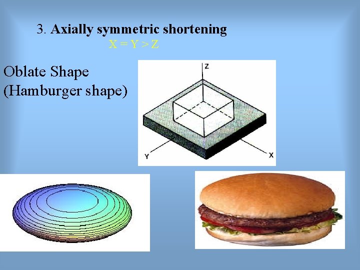 3. Axially symmetric shortening X=Y>Z Oblate Shape (Hamburger shape) 