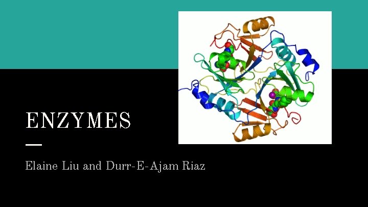 ENZYMES Elaine Liu and Durr-E-Ajam Riaz 