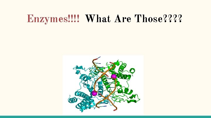 Enzymes!!!! What Are Those? ? These are my proteins that act as catalysts for