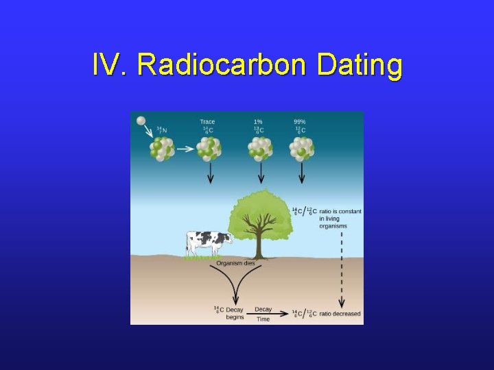 IV. Radiocarbon Dating 