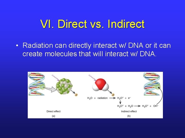 VI. Direct vs. Indirect • Radiation can directly interact w/ DNA or it can