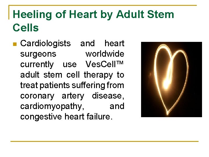 Heeling of Heart by Adult Stem Cells n Cardiologists and heart surgeons worldwide currently