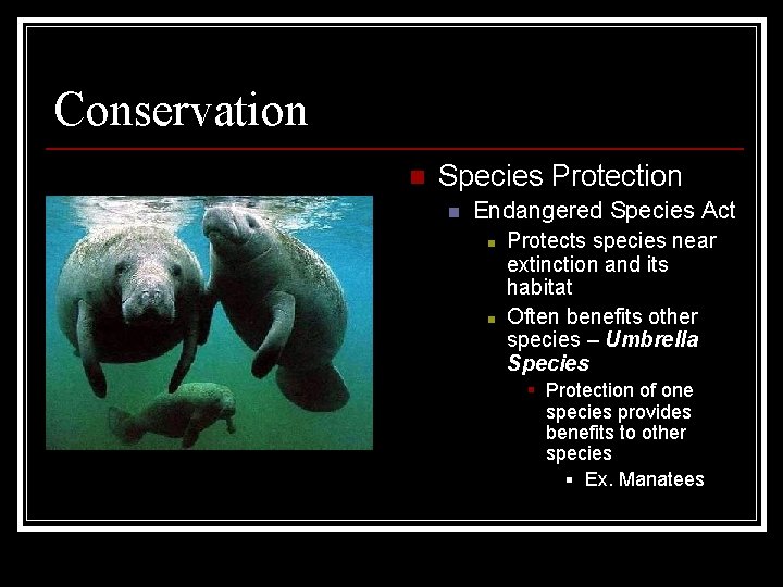 Conservation n Species Protection n Endangered Species Act n n Protects species near extinction Conservation n Species Protection n Endangered Species Act n n Protects species near extinction
