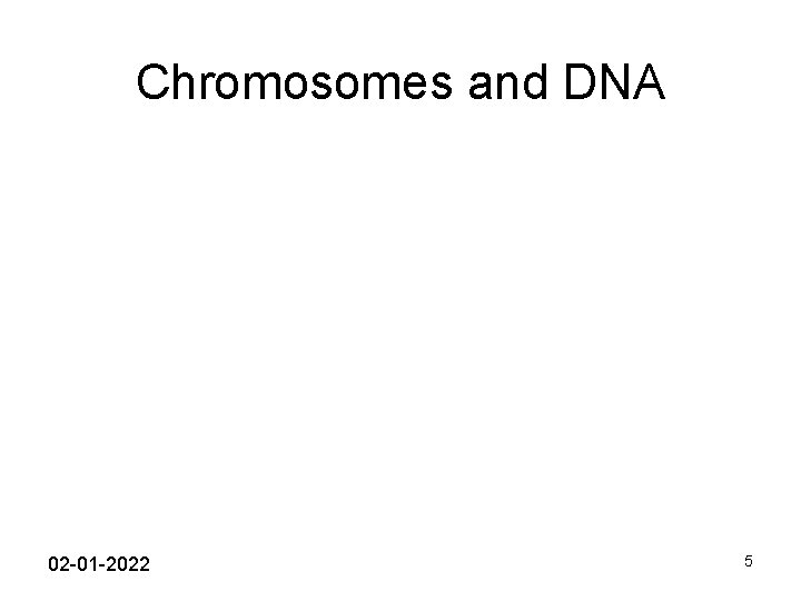 Chromosomes and DNA 02 -01 -2022 5 