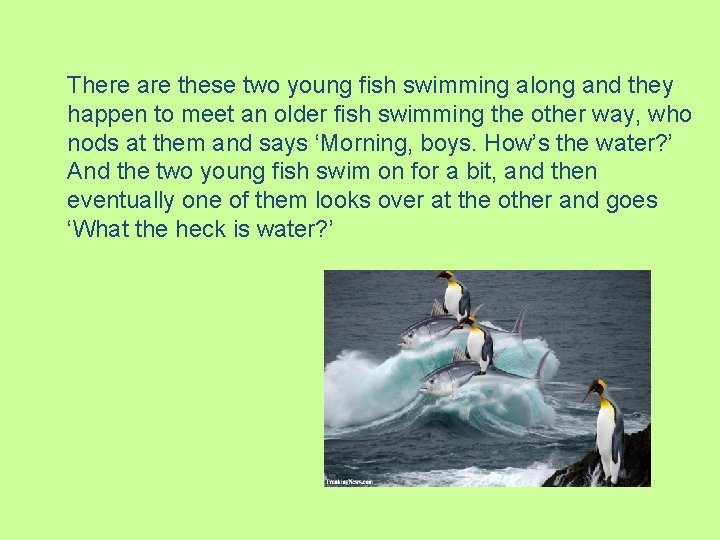There are these two young fish swimming along and they happen to meet an There are these two young fish swimming along and they happen to meet an