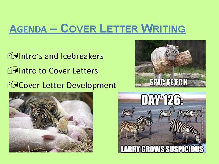 AGENDA – COVER LETTER WRITING Intro’s and Icebreakers Intro to Cover Letters Cover Letter AGENDA – COVER LETTER WRITING Intro’s and Icebreakers Intro to Cover Letters Cover Letter