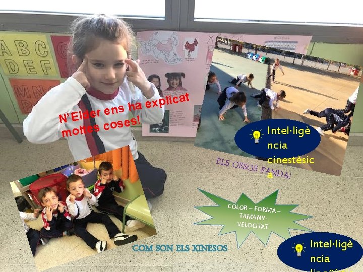 cat i l p x e ha s n e r N’Eide oses! c