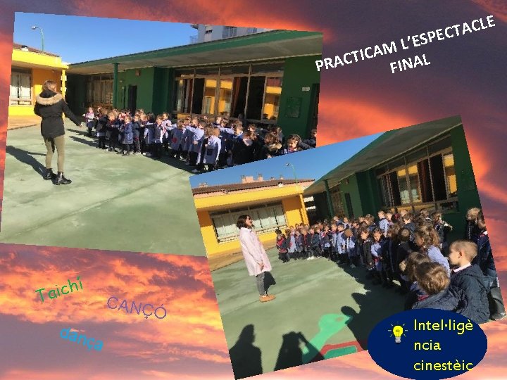 LE C A T PEC S E ’ L M A C I T