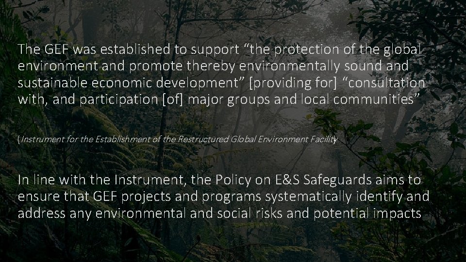 The GEF was established to support “the protection of the global environment and promote The GEF was established to support “the protection of the global environment and promote