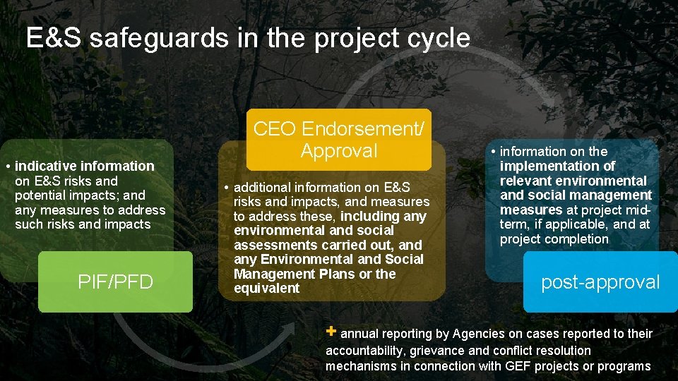 E&S safeguards in the project cycle • indicative information on E&S risks and potential E&S safeguards in the project cycle • indicative information on E&S risks and potential