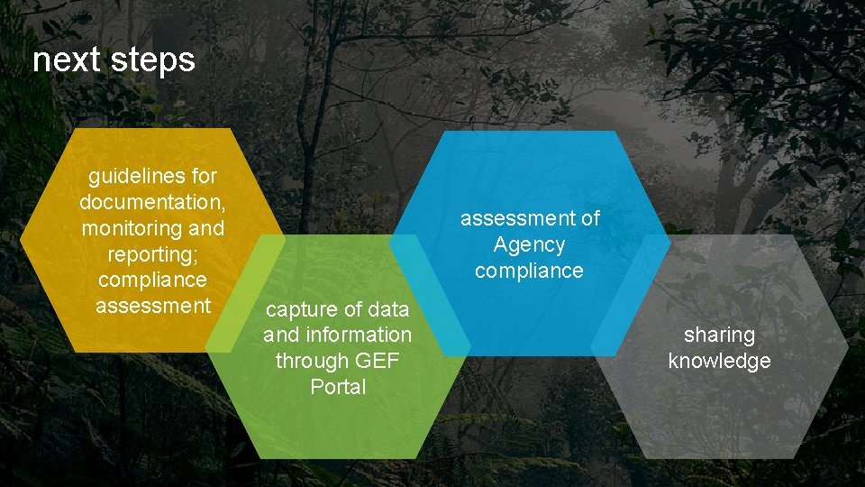 next steps guidelines for documentation, monitoring and reporting; compliance assessment of Agency compliance capture next steps guidelines for documentation, monitoring and reporting; compliance assessment of Agency compliance capture