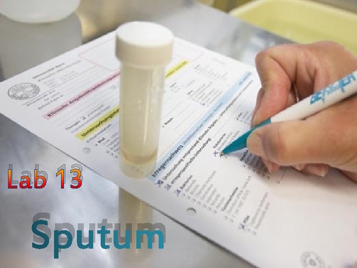 Lab 13 Sputum 