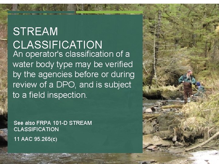 STREAM CLASSIFICATION An operator's classification of a water body type may be verified by