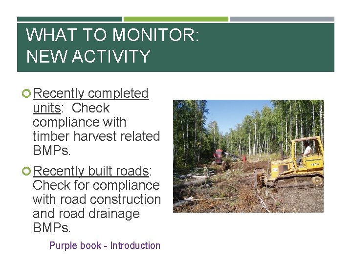 WHAT TO MONITOR: NEW ACTIVITY Recently completed units: Check compliance with timber harvest related