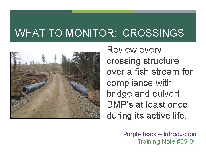 WHAT TO MONITOR: CROSSINGS Review every crossing structure over a fish stream for compliance