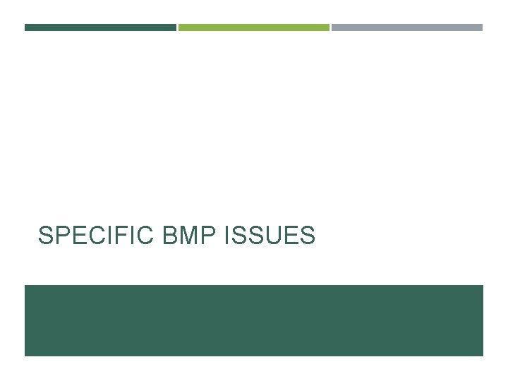 SPECIFIC BMP ISSUES 