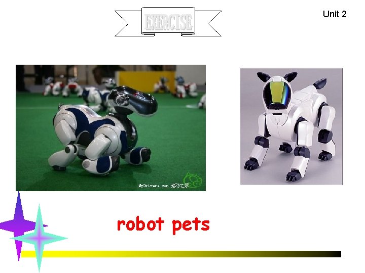 Unit 2 robot pets 