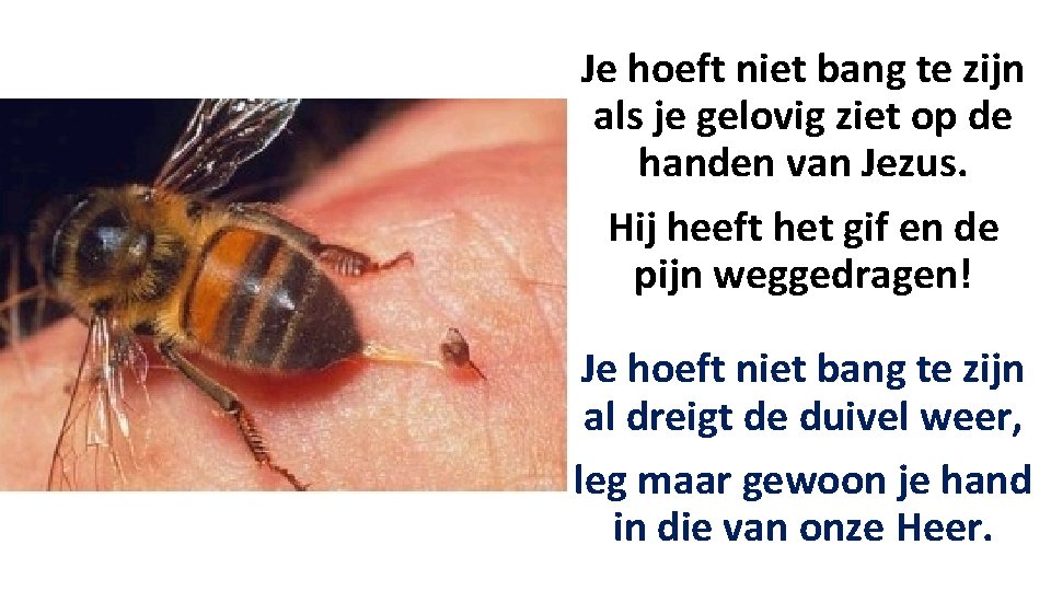 Je hoeft niet bang te zijn als je gelovig ziet op de handen van