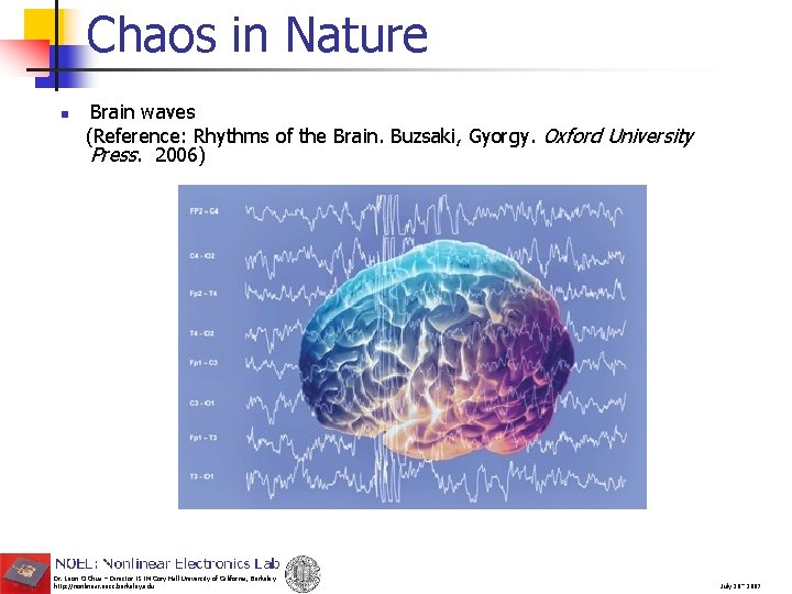 Chaos in Nature n Brain waves (Reference: Rhythms of the Brain. Buzsaki, Gyorgy. Oxford