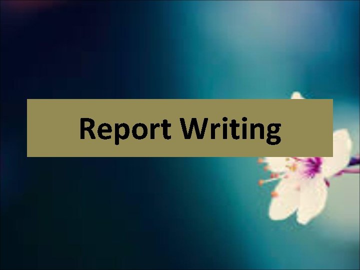 Report Writing 