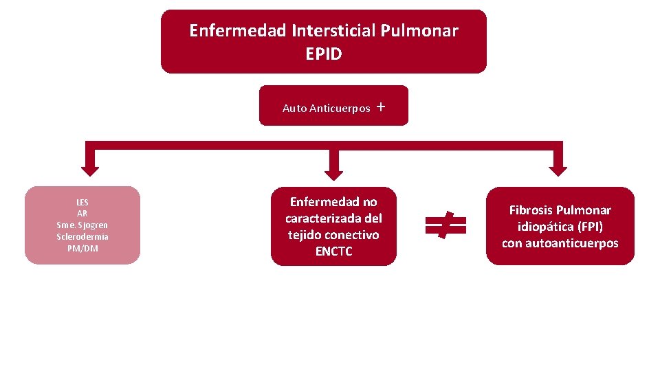 Enfermedad Intersticial Pulmonar EPID Auto Anticuerpos LES AR Sme. Sjogren Sclerodermia PM/DM + Enfermedad