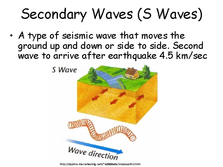 Secondary Waves (S Waves) • A type of seismic wave that moves the ground
