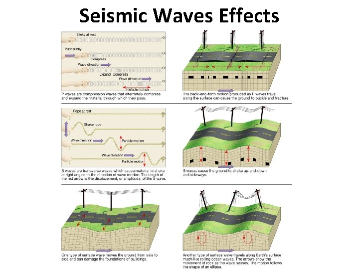 Seismic Waves Effects 