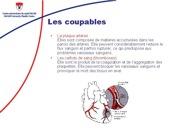 Les coupables • • La plaque artériel Elles sont composée de matières accumulées dans