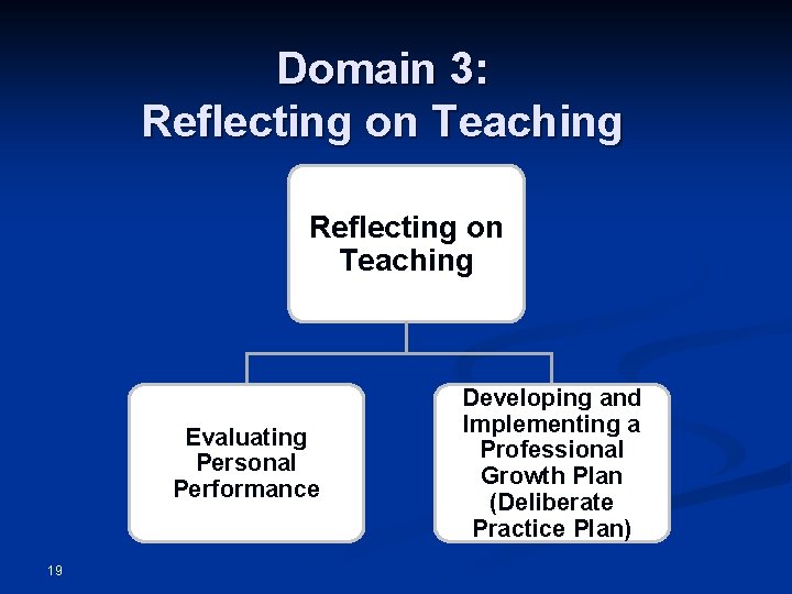 Domain 3: Reflecting on Teaching Evaluating Personal Performance 19 Developing and Implementing a Professional
