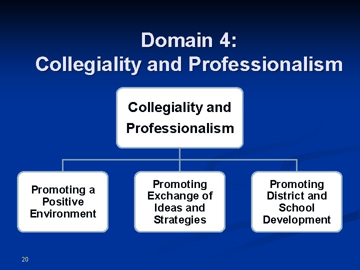 Domain 4: Collegiality and Professionalism Promoting a Positive Environment 20 Promoting Exchange of Ideas