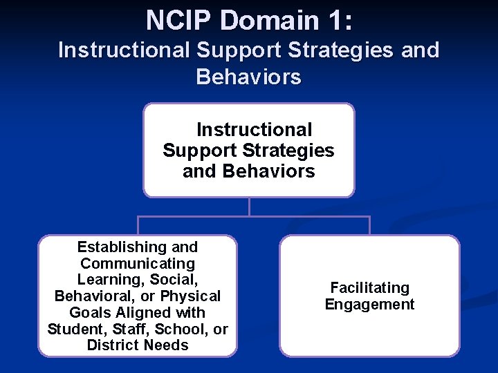 NCIP Domain 1: Instructional Support Strategies and Behaviors Establishing and Communicating Learning, Social, Behavioral,