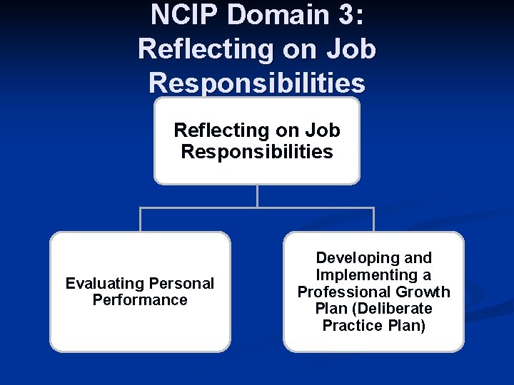 NCIP Domain 3: Reflecting on Job Responsibilities Evaluating Personal Performance Developing and Implementing a