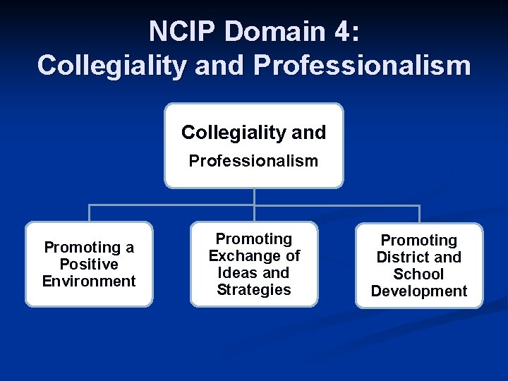 NCIP Domain 4: Collegiality and Professionalism Promoting a Positive Environment Promoting Exchange of Ideas