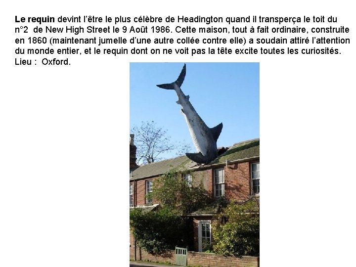 Le requin devint l’être le plus célèbre de Headington quand il transperça le toit