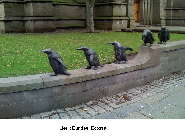 Lieu : Dundee, Ecosse. 