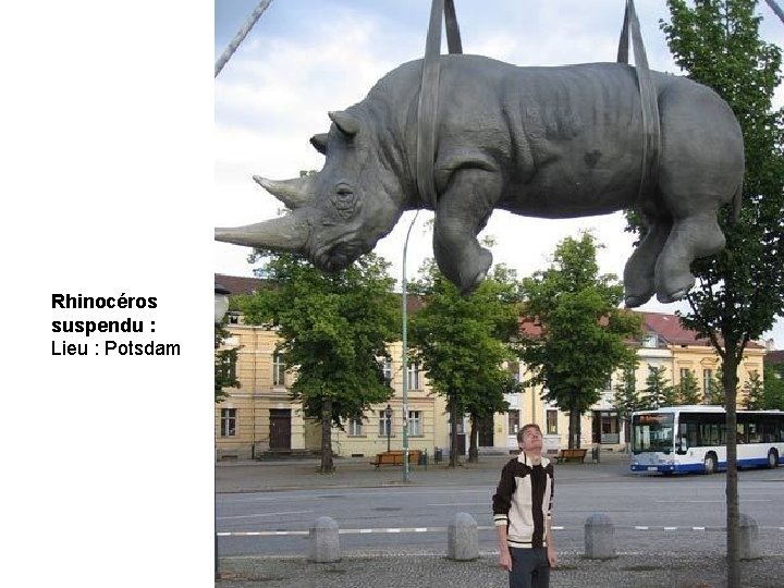 Rhinocéros suspendu : Lieu : Potsdam 