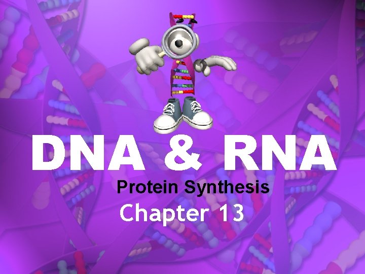 DNA & RNA Protein Synthesis Chapter 13 