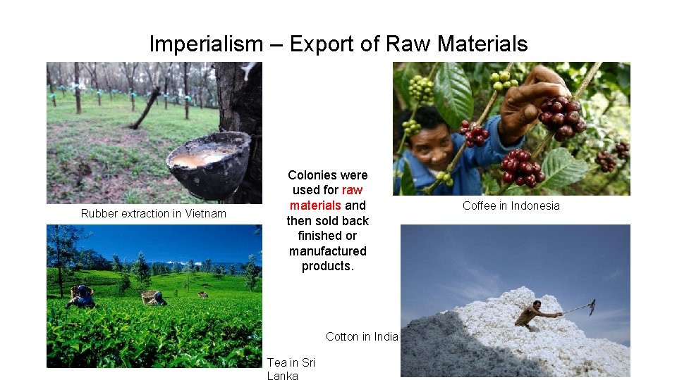 Imperialism – Export of Raw Materials Rubber extraction in Vietnam Colonies were used for